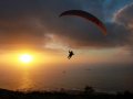 Shark & Paraglide SD